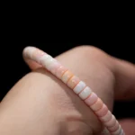 Mother of Pearl Bracelet（6mm） - Image 2